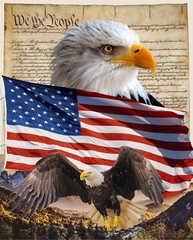 David Textiles DX-4234-3C-1 Eagle and Constitution Panel Cotton 36″ x 45″