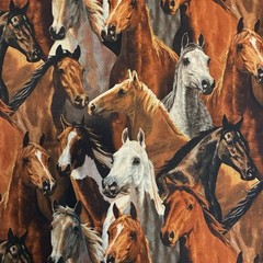 Horses Rivers Bend Cotton Fabric BTY Springs Creative By the Yard Brown Mustangs