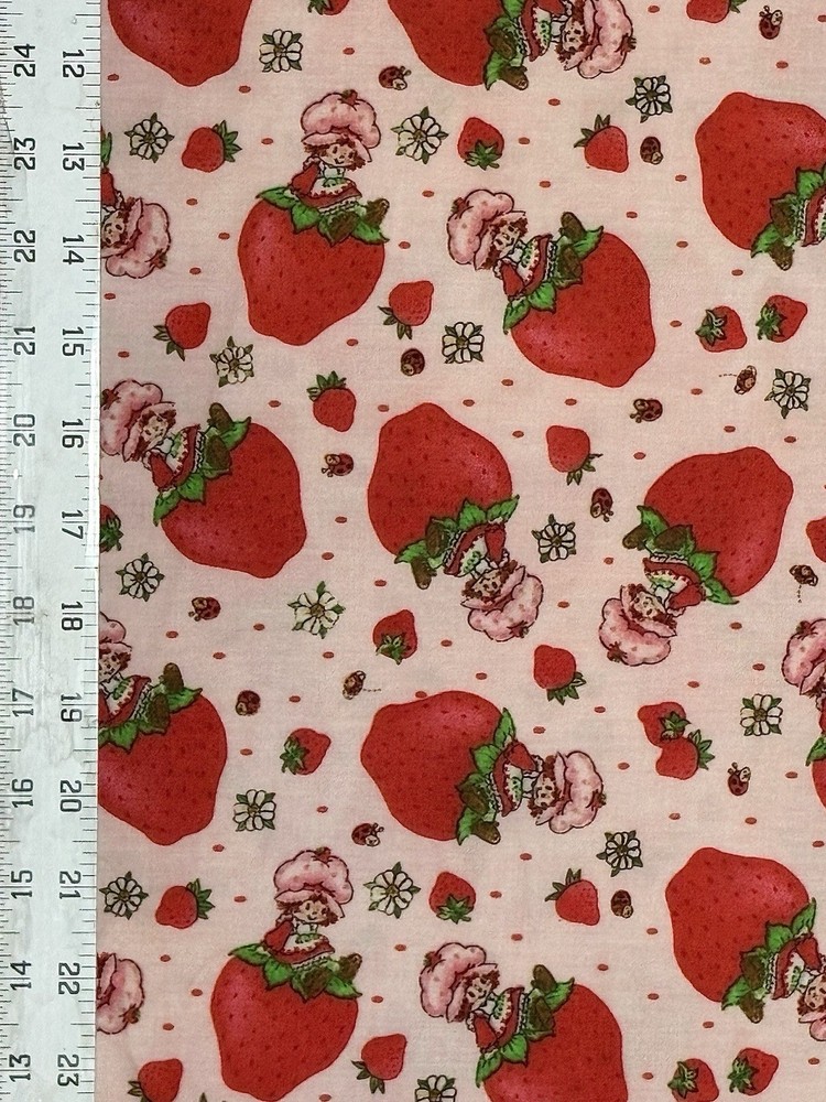 Strawberry Shortcake on Strawberry Fabric – 18” x 28”
