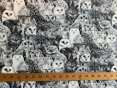 WICKED OWLS YELLOW EYES OWL SPOOKY BLK WHTE GRAY COTTON FABRIC FQ