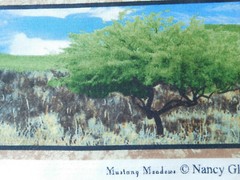 1 yard cotton quilt fabric MUSTANG MEADOW Nancy Glazier SSI South Sea Import BTY