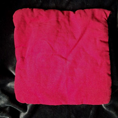 Vintage Horse Mare Colt Foal 2 Cotton Pillow Covers Cranston Fabric 12″x12″