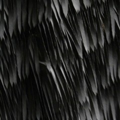 0.5m Lace Embroidery 3D Fringe Feather Stage Tassel Fabric Black/White 1.3mWidth
