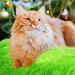 4 Pcs Lime Green Faux Fur 10 X 20 Inch Christmas Faux Fur Fabric Squares Fluf…