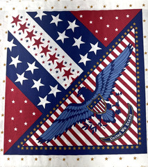 Patriotic United We Stand Red White Blue Star Stripes Fabric Panel 42″x23″ #69