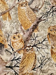 39″ x 42/43″ Wide Owls on Branches Cotton Fabric / Timeless Treasures/New OOP