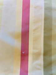 Kravet Coutoure Pink & Yellow Pastel Candy Stipe Duoioni Silk Fabric 10. 5 yrds.