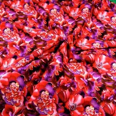 60″ W Spectacular Red, Violet Purple & Brown Floral, MMFab Cotton, BTY