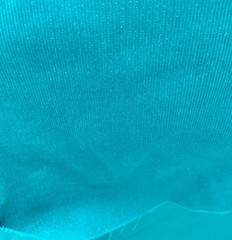 Peacock Turquoise Corduroy Fabric Ribbed Cotton 4.25 Yards Silver Accents 153×43