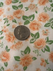 Moda 4 Yards Roses Orange Fizz Cream