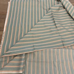 Skinner home fashions custom print nettle Creek 1981 striped 6 Yards x 44in