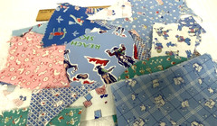 Cotton Quilt Fabric Scrap Small Pieces Lot Novelty Juvenile Prints Train Duck