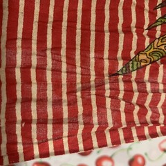 South Asian Raw Thin Woven Multicolor Paisley Striped Clothing Fabric 139×40”