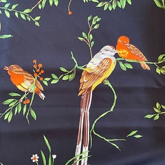 1+ Yard Black Fabric With Tropical Birds Leaves Satin Silky Gold Yellows Reds