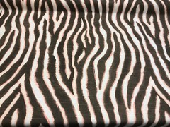Zany Zebra Blush Drapery Upholstery Ronnie Gold Home Accent Fabric By The Yard