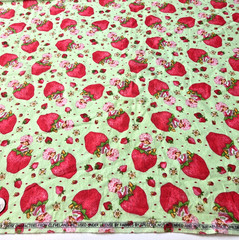 VTG Strawberry Shortcake Those Characters From Cleveland 2003 Flannel Green BTY