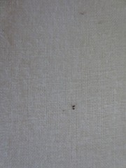 5170. Roclon 100% UNBLEACHED COTTON MUSLIN FABRIC – 38″ BTY