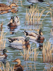 Mallards In The Marsh Large Duck Quilting Bundle W/ Panel And 2 Matching Prints