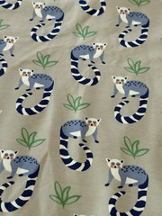 European organic cotton Knit jersey fabric-Lemurs On Gray 3yds 60” Wide One Cut
