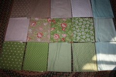 Quilt fabric Fig Tree Jam Jelly 1/2 yard bundle Everything Better In Mason Jar