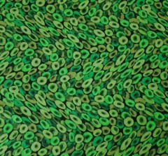Floral Fantasia BTY P&B Textiles Tonal Green Black