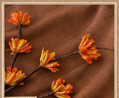Hemp 100% Stone Washed Eco-Green Terracota Color Fabric