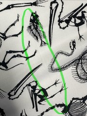 32″ Osteology 2011 Alexander Henry Cotton Fabric White Black