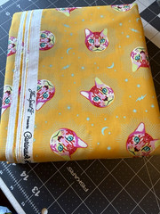 1/2 YD CHESHIRE Cat Kitten Curiouser Animals Moon Cotton Quilt Fabric Tula Pink
