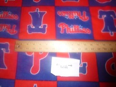 Fleece Fabric- Philadelphia Phillies Block (60 inches wide by 60 inches long)