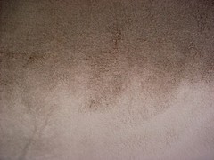 7-5/8Y Chivasso CH3054 The Touch Fawn Brown High Pile Velvet Upholstery Fabric
