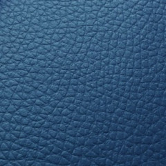 Apollo Blue Water (4 Way Stretch) Automotive/Marine 10 Yard Cut *Free Shipping*