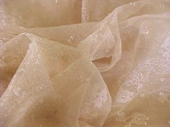 Fabric Embroidered Lace Nude Sewing Insertions Floral Design 1-1/2 Yards x 14″