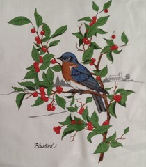 6.75″x8.25″~Vtg ~Cranston~”American Song Birds”~”Bluebird”~ Cotton Fabric Panel