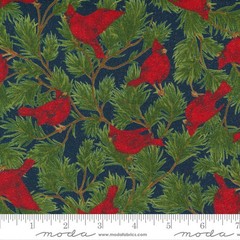Sparkle & Shine Glitter 33601 14GL Twilight Moda