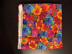 Rainbow 🌈 Connection Quilt Kit -incl. back, 10+ yd, Robert Kaufman, Free Spirit