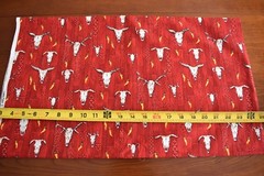 29″ Long, Southwest / Desert Theme on Red Quilt Cotton, Kaufman/Rubin, N2910