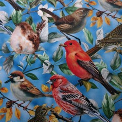 Songbirds Medium Blue Cotton Fabric 44″ By The Yard