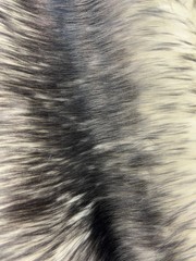 Bristol GREY Tip Candy Shag Long Pile Soft Faux Fur Fabric for Fursuit, Cosplay