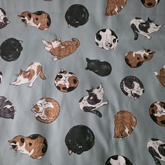 Tired Kitties Cats on Slate Blue Japanese Cotton Light Duck Cloth Japan