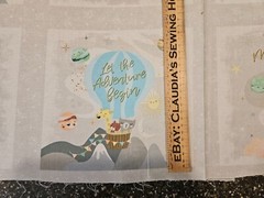 Star Bright Panel 23×42 P&B Textiles Animals Hot Air Balloon Blocks