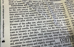 RILEY BLAKE – COFFEE CHALK #C11039 – TEXT – WHITE BY J. WECKER FRISCH- BTY