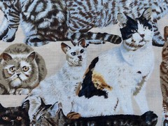 TIMELESS TREASURES FABRIC~Hi Fashion~CATS~TABBIES~CALICO~TORTOISE SHELL~1998~