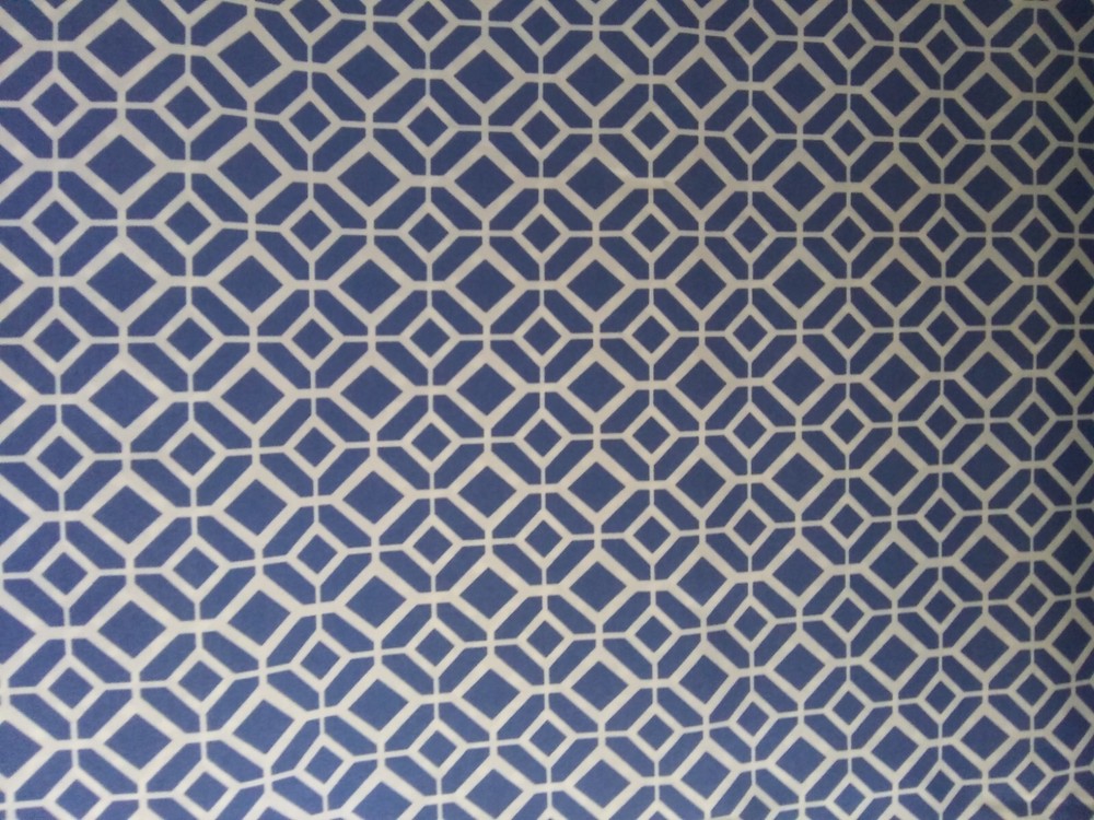 Richloom Solarium Outdoor Fabric~Blue White Geo Polyester Canvas~3 Yards x 54″ W