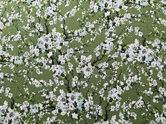 Fabric First Flourish Green By RJR Fabric 42” x 45”360