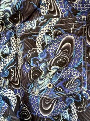 Xelos boy’s swim trunks Y2K vintage 2000s Asian dragon print fabric kidcore kids
