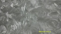 White Satin Bridal Petals Rosette on Mesh Fabric 56″ x 11″