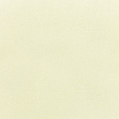 Sunbrella® Indoor / Outdoor Upholstery Fabric – Canvas Natural 5404-0000