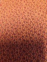 Rust Red Maroon Tiny Black Floral 100 % Coton Fabric quilting sewing blender
