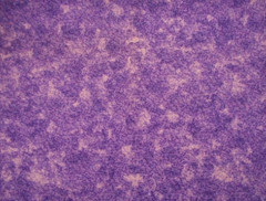 Quilt Fabric By Yard Sm White Purple Floral Leaves on Purple Cotton Blender Vtg