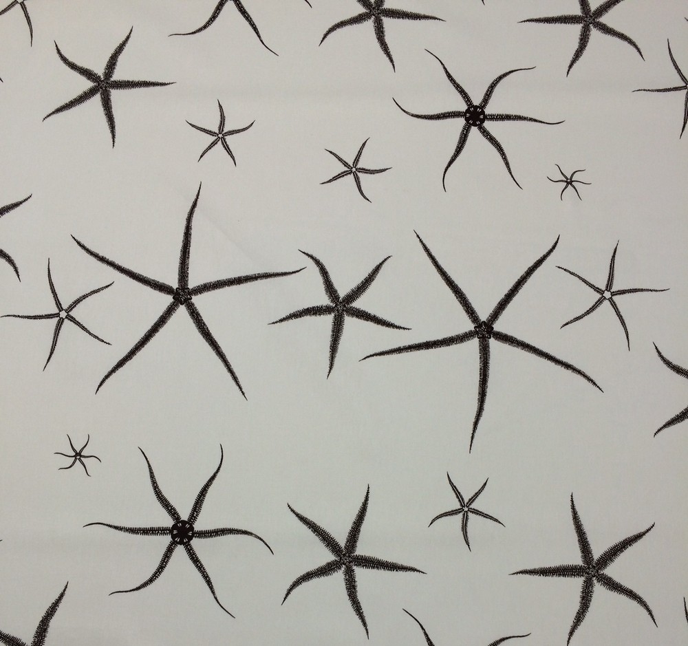 LACEFIELD DESIGNS SEA STAR COCOA BROWN ESPRESSO STARFISH COTTON FABRIC BTY 54″W